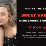 Gig: Rosie Barker and Emma Turner